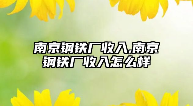 南京鋼鐵廠收入,南京鋼鐵廠收入怎么樣