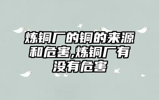 煉銅廠的銅的來(lái)源和危害,煉銅廠有沒(méi)有危害