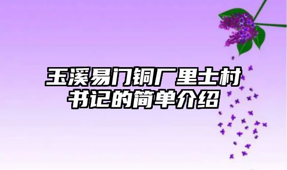 玉溪易門銅廠里士村書記的簡單介紹