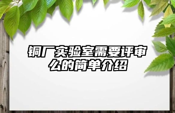 銅廠實(shí)驗(yàn)室需要評審么的簡單介紹