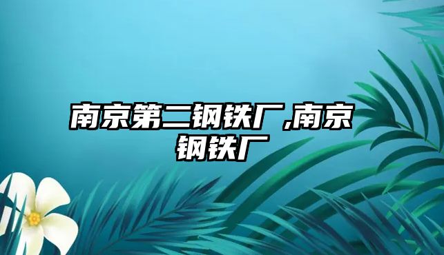 南京第二鋼鐵廠,南京 鋼鐵廠