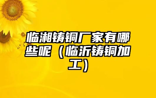 臨湘鑄銅廠家有哪些呢（臨沂鑄銅加工）