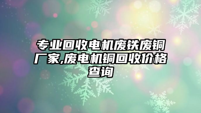 專業(yè)回收電機(jī)廢鐵廢銅廠家,廢電機(jī)銅回收價(jià)格查詢