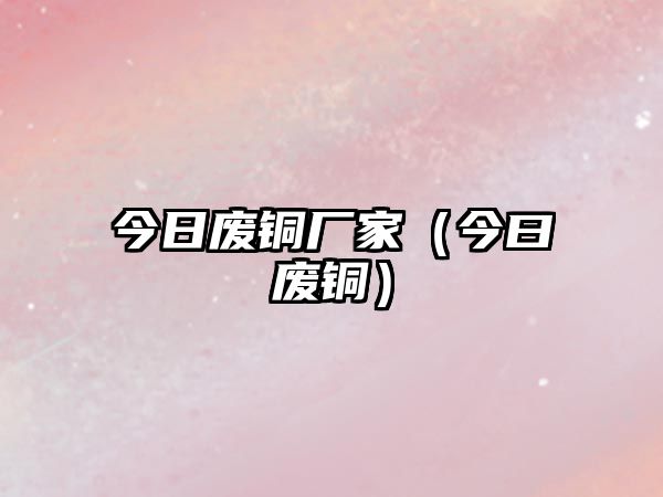 今日廢銅廠家（今曰廢銅）