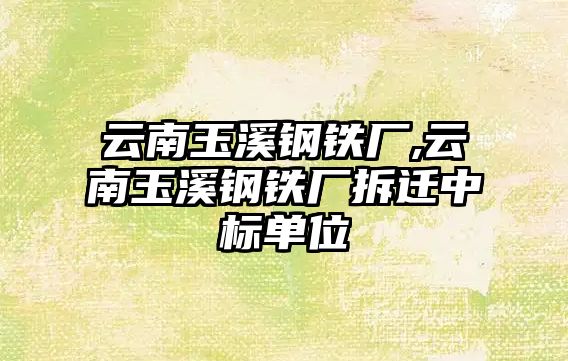 云南玉溪鋼鐵廠,云南玉溪鋼鐵廠拆遷中標(biāo)單位