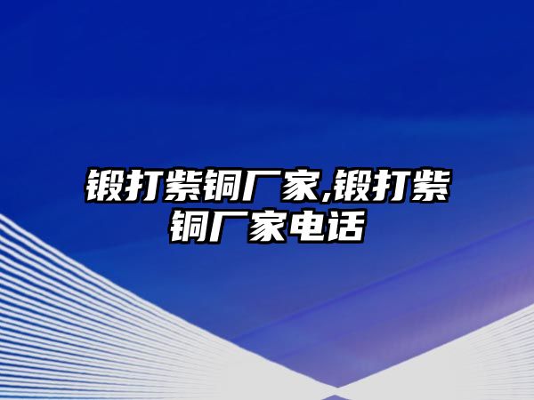 鍛打紫銅廠家,鍛打紫銅廠家電話(huà)