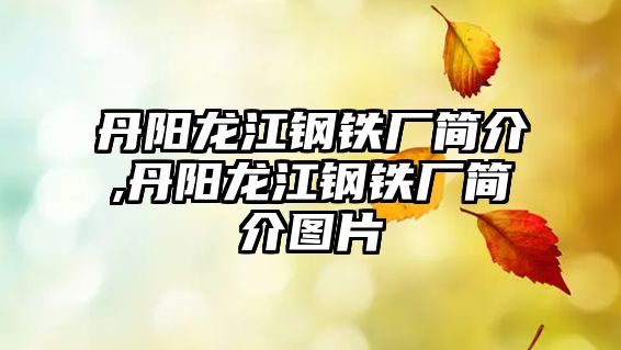 丹陽龍江鋼鐵廠簡介,丹陽龍江鋼鐵廠簡介圖片