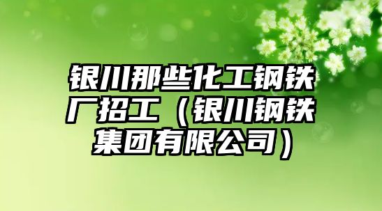 銀川那些化工鋼鐵廠招工（銀川鋼鐵集團有限公司）