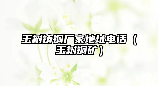 玉樹鑄銅廠家地址電話（玉樹銅礦）