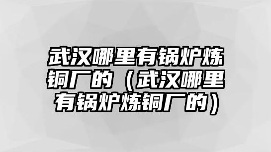 武漢哪里有鍋爐煉銅廠的（武漢哪里有鍋爐煉銅廠的）