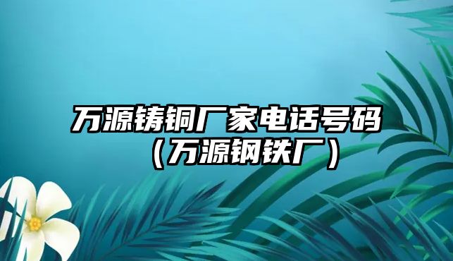 萬源鑄銅廠家電話號碼（萬源鋼鐵廠）