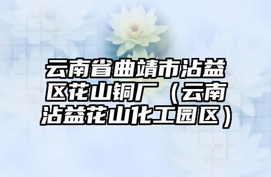 云南省曲靖市沾益區(qū)花山銅廠（云南沾益花山化工園區(qū)）