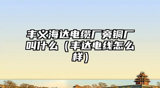 豐義海達電纜廠旁銅廠叫什么（豐達電線怎么樣）