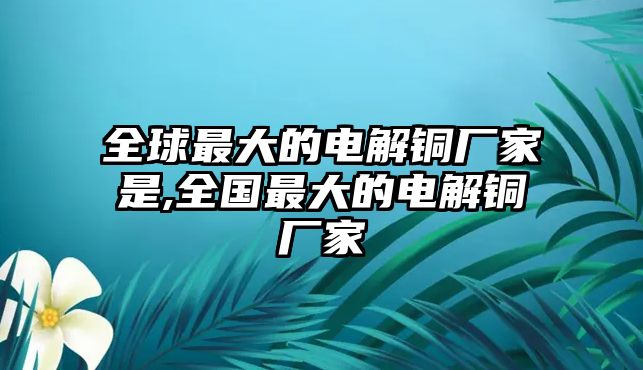 全球最大的電解銅廠家是,全國最大的電解銅廠家