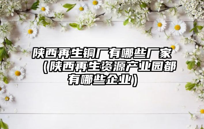 陜西再生銅廠有哪些廠家（陜西再生資源產(chǎn)業(yè)園都有哪些企業(yè)）