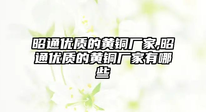 昭通優(yōu)質(zhì)的黃銅廠家,昭通優(yōu)質(zhì)的黃銅廠家有哪些