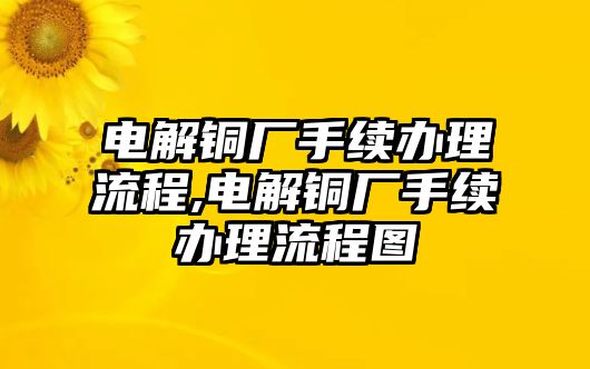 電解銅廠手續(xù)辦理流程,電解銅廠手續(xù)辦理流程圖