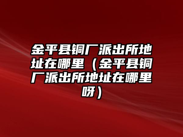 金平縣銅廠派出所地址在哪里（金平縣銅廠派出所地址在哪里呀）