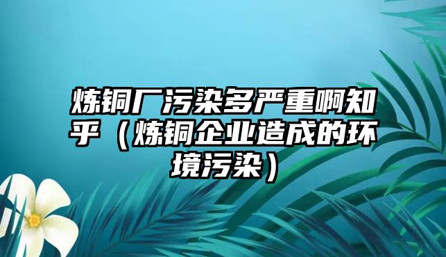 煉銅廠污染多嚴(yán)重啊知乎（煉銅企業(yè)造成的環(huán)境污染）