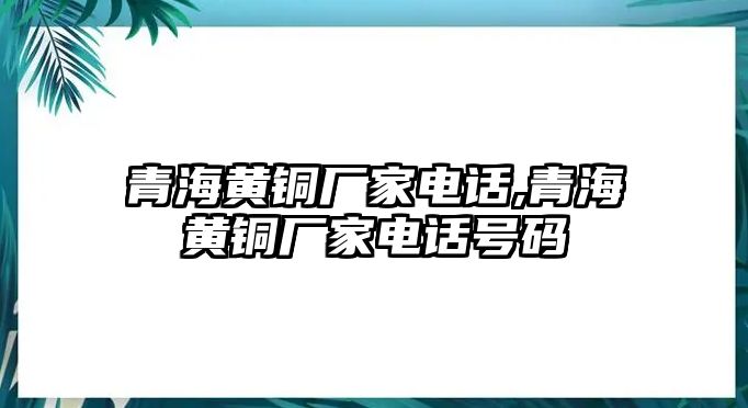 青海黃銅廠家電話,青海黃銅廠家電話號碼