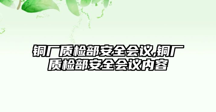 銅廠質(zhì)檢部安全會議,銅廠質(zhì)檢部安全會議內(nèi)容