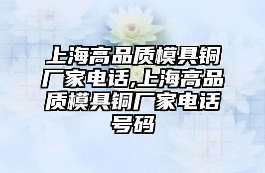 上海高品質(zhì)模具銅廠家電話,上海高品質(zhì)模具銅廠家電話號碼