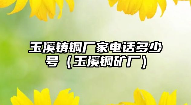 玉溪鑄銅廠家電話多少號（玉溪銅礦廠）