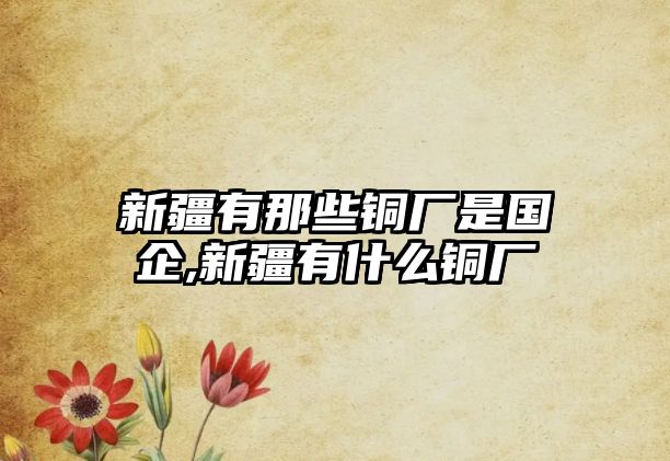 新疆有那些銅廠是國企,新疆有什么銅廠