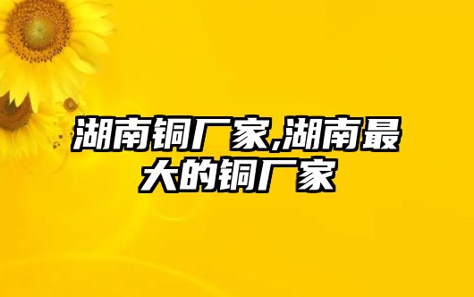 湖南銅廠家,湖南最大的銅廠家