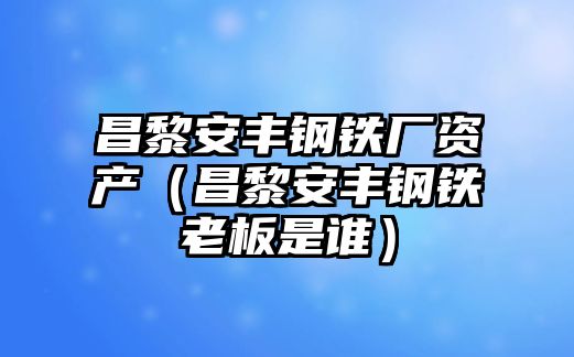 昌黎安豐鋼鐵廠資產(chǎn)（昌黎安豐鋼鐵老板是誰）