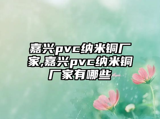 嘉興pvc納米銅廠家,嘉興pvc納米銅廠家有哪些