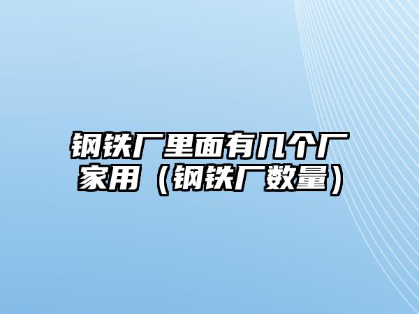 鋼鐵廠里面有幾個(gè)廠家用（鋼鐵廠數(shù)量）