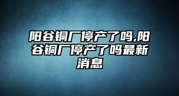 陽谷銅廠停產(chǎn)了嗎,陽谷銅廠停產(chǎn)了嗎最新消息