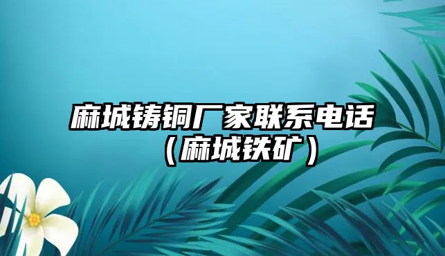 麻城鑄銅廠家聯(lián)系電話（麻城鐵礦）