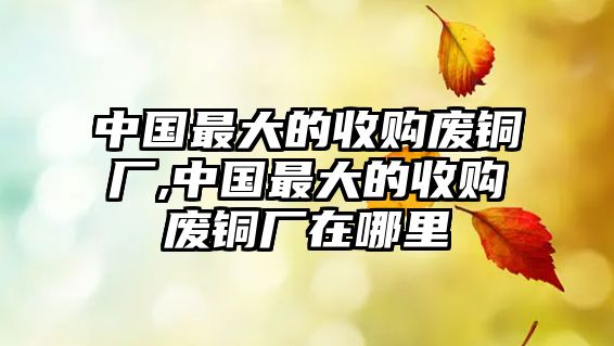 中國最大的收購廢銅廠,中國最大的收購廢銅廠在哪里