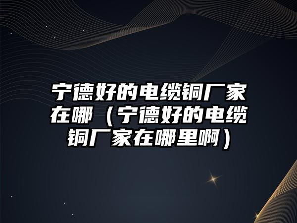 寧德好的電纜銅廠家在哪（寧德好的電纜銅廠家在哪里?。? class=