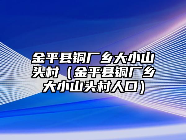 金平縣銅廠鄉(xiāng)大小山頭村（金平縣銅廠鄉(xiāng)大小山頭村人口）