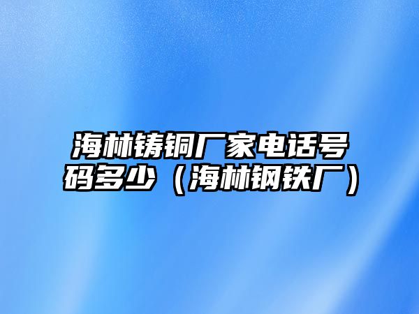 海林鑄銅廠家電話號(hào)碼多少（海林鋼鐵廠）