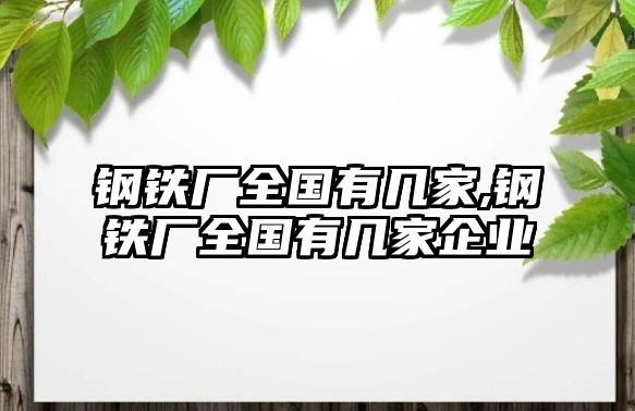 鋼鐵廠全國有幾家,鋼鐵廠全國有幾家企業(yè)