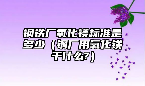 鋼鐵廠氧化鎂標準是多少（鋼廠用氧化鎂干什么?）