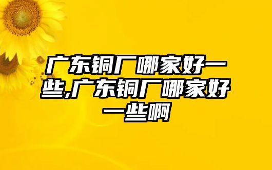 廣東銅廠哪家好一些,廣東銅廠哪家好一些啊