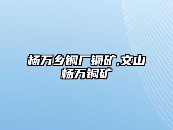 楊萬鄉(xiāng)銅廠銅礦,文山楊萬銅礦