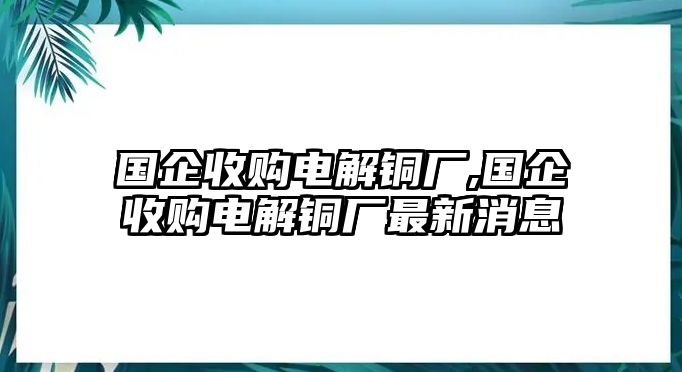 國(guó)企收購(gòu)電解銅廠,國(guó)企收購(gòu)電解銅廠最新消息