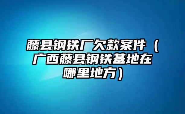 藤縣鋼鐵廠欠款案件（廣西藤縣鋼鐵基地在哪里地方）