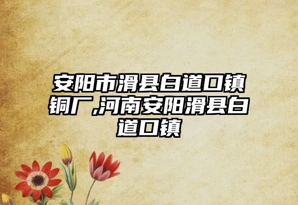 安陽市滑縣白道口鎮(zhèn)銅廠,河南安陽滑縣白道口鎮(zhèn)