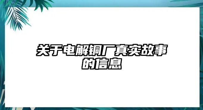 關(guān)于電解銅廠真實(shí)故事的信息