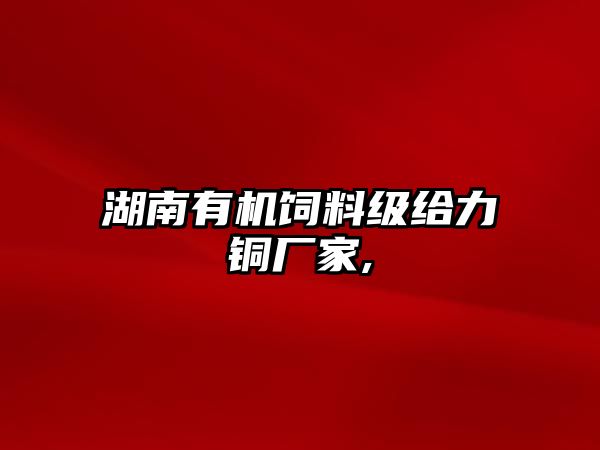 湖南有機(jī)飼料級(jí)給力銅廠家,