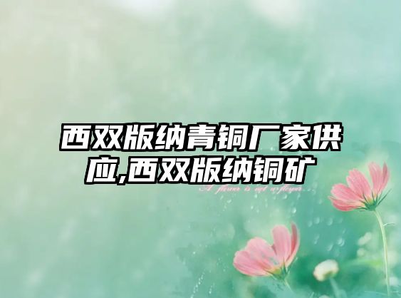 西雙版納青銅廠家供應(yīng),西雙版納銅礦