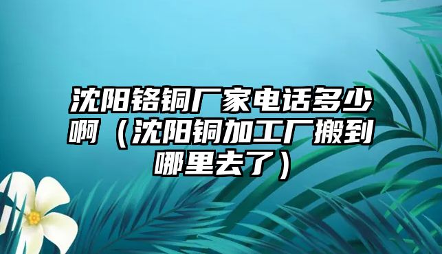 沈陽(yáng)鉻銅廠家電話多少?。ㄉ蜿?yáng)銅加工廠搬到哪里去了）