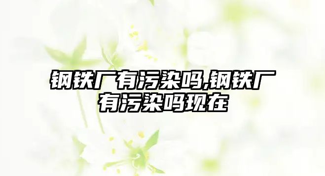 鋼鐵廠有污染嗎,鋼鐵廠有污染嗎現(xiàn)在